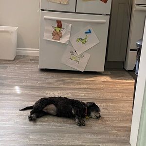 Meet your Posher, Melissa